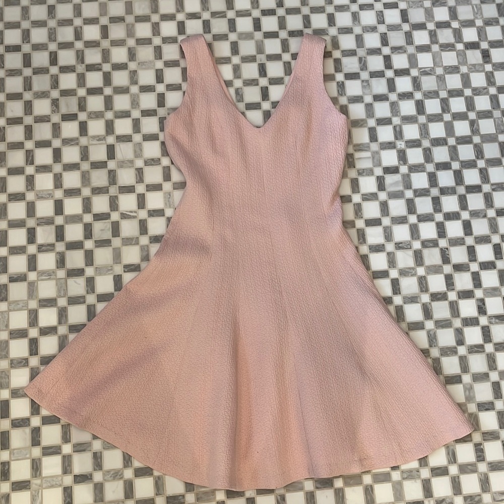 Club Monaco soft pink dress